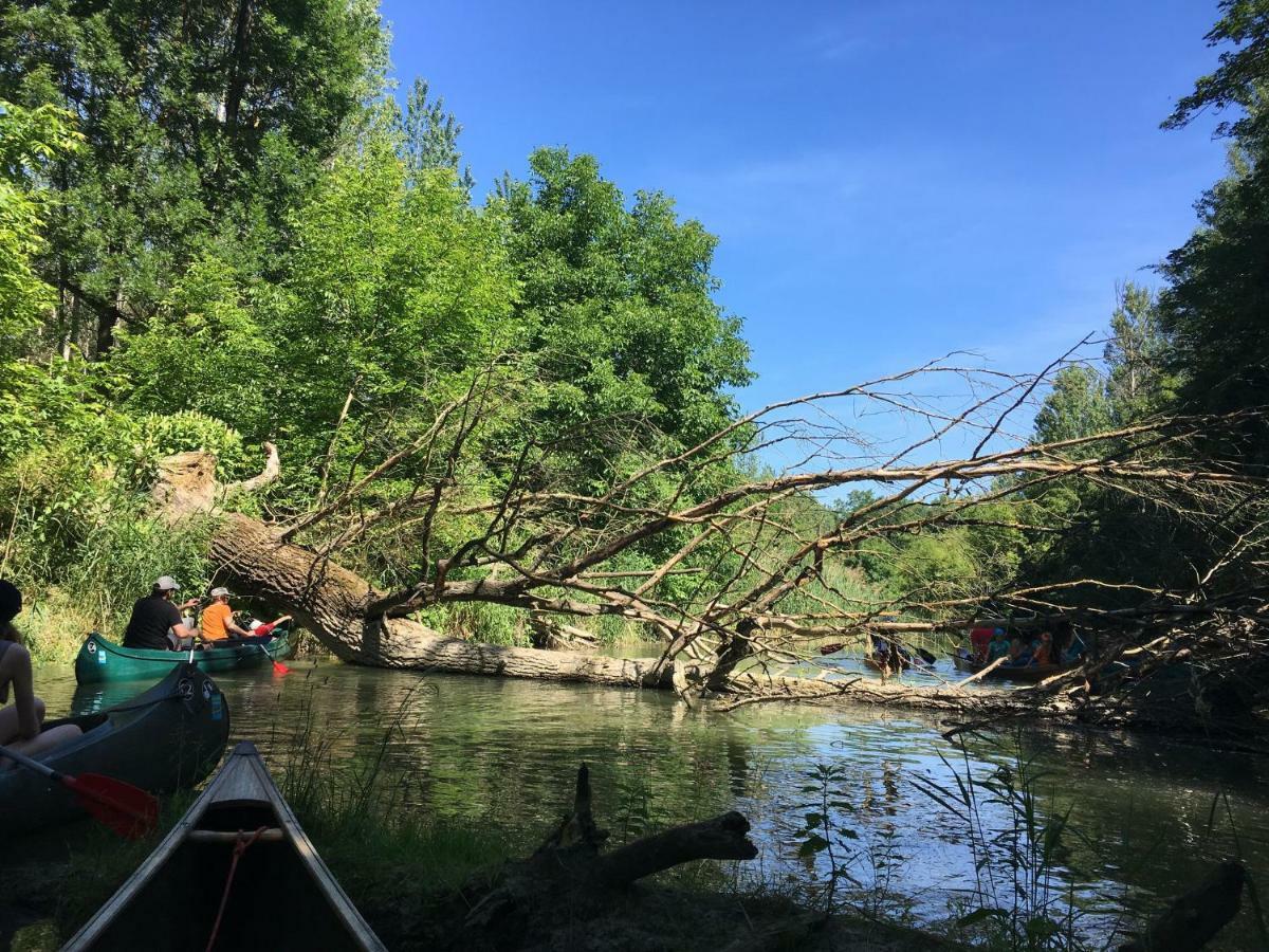 Donaupark Camping Tulln トゥルン エクステリア 写真
