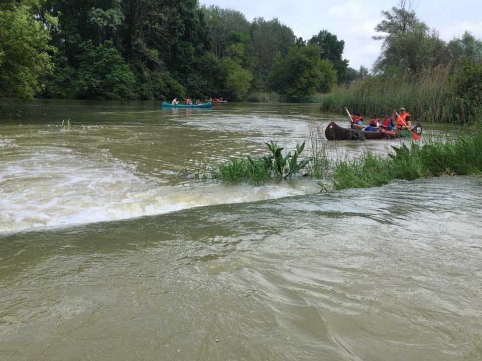 Donaupark Camping Tulln トゥルン エクステリア 写真